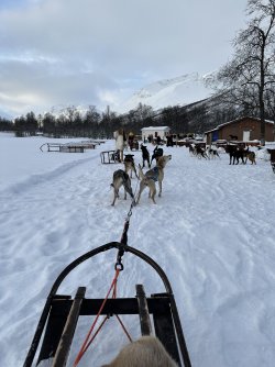 IMG_8745.jpeg IMG_8745.jpeg