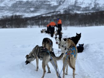 IMG_8754.jpeg IMG_8754.jpeg