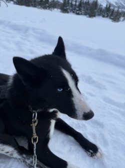 IMG_2809.jpeg IMG_2809.jpeg