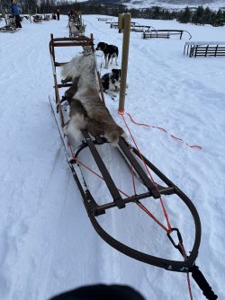 IMG_8785.jpeg IMG_8785.jpeg