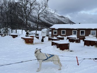 IMG_2834.jpeg IMG_2834.jpeg