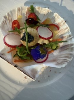 IMG_8261.jpg IMG_8261.jpg