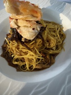 IMG_8262.jpg IMG_8262.jpg