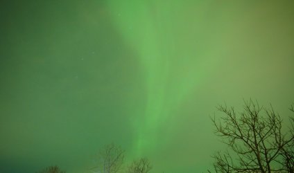 IMG_3503.jpeg IMG_3503.jpeg