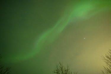 IMG_3498.jpeg IMG_3498.jpeg