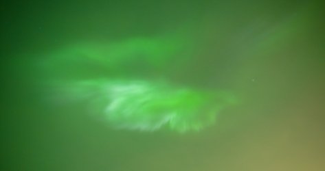 IMG_3497.jpeg IMG_3497.jpeg