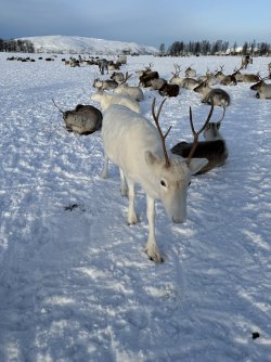 IMG_8993.jpeg IMG_8993.jpeg