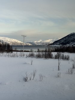 IMG_8970.jpeg IMG_8970.jpeg