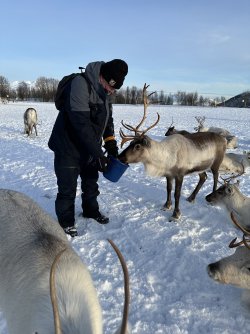 IMG_9019.jpeg IMG_9019.jpeg