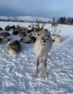 IMG_3081.jpeg IMG_3081.jpeg