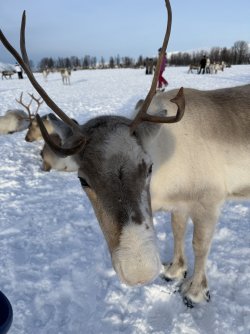 IMG_3118.jpeg IMG_3118.jpeg