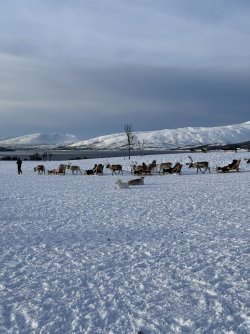 IMG_3085.jpeg IMG_3085.jpeg