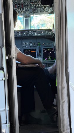 IMG_3353.jpeg IMG_3353.jpeg