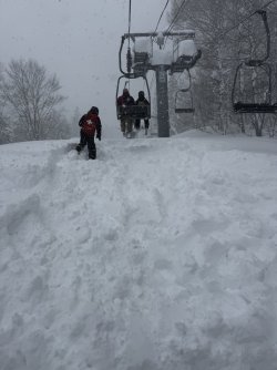 IMG_2001.JPEG IMG_2001.JPEG