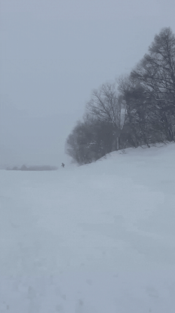 Untitled design.gif Untitled design.gif