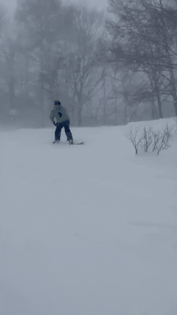 Untitled design.gif Untitled design.gif