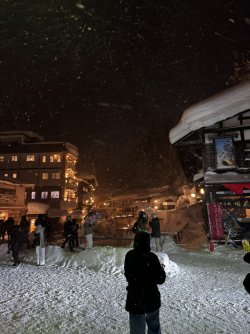 IMG_2023.JPEG IMG_2023.JPEG