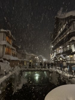 IMG_2039.JPEG IMG_2039.JPEG