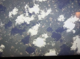 IMG_7686.jpg IMG_7686.jpg