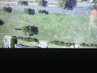 IMG_7699.jpg IMG_7699.jpg