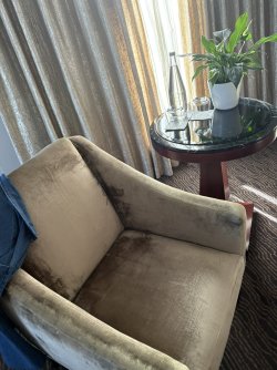 IMG_7721.jpg IMG_7721.jpg