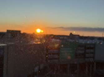 IMG_7730.jpg IMG_7730.jpg