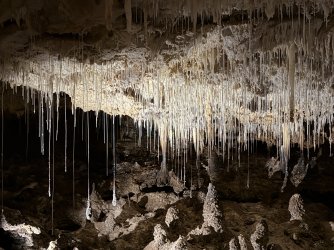 IMG_0284.jpeg IMG_0284.jpeg