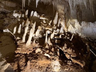 IMG_0280.jpeg IMG_0280.jpeg