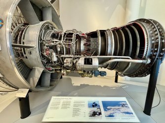 IMG_7613.jpeg IMG_7613.jpeg