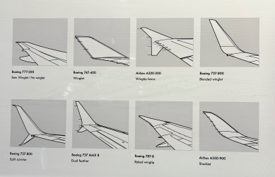 IMG_7625.jpeg IMG_7625.jpeg