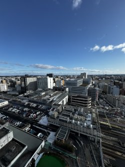 IMG_2076.JPEG IMG_2076.JPEG