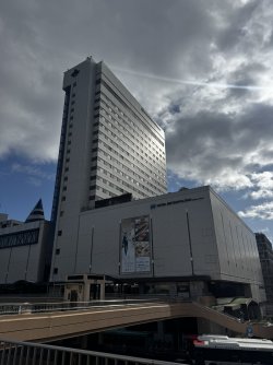 IMG_2087.JPEG IMG_2087.JPEG