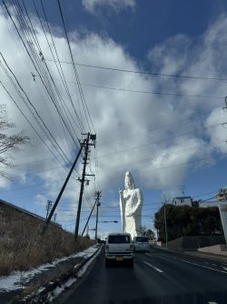 IMG_6632.JPEG IMG_6632.JPEG