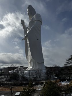 IMG_2093.JPEG IMG_2093.JPEG