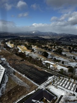 IMG_2091.JPEG IMG_2091.JPEG