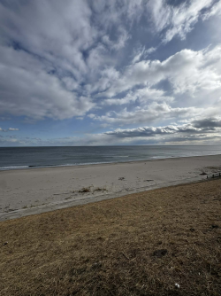 1772422352490.png 1772422352490.png