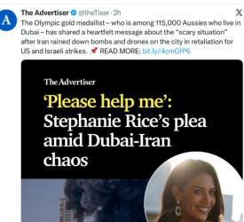 1772513699279.png 1772513699279.png