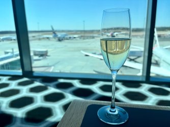 IMG_7741.jpeg IMG_7741.jpeg