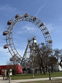 IMG_5491.jpeg IMG_5491.jpeg