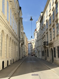 IMG_5456.jpeg IMG_5456.jpeg