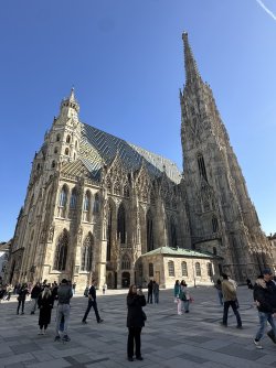 IMG_0702.jpeg IMG_0702.jpeg