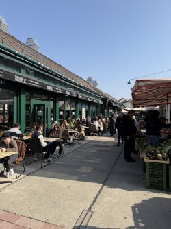 IMG_5265.jpeg IMG_5265.jpeg