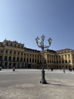 IMG_5274.jpeg IMG_5274.jpeg