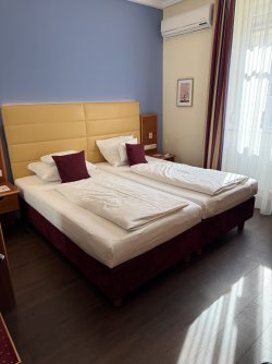 IMG_5235.jpeg IMG_5235.jpeg