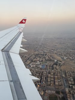 IMG_5512.jpeg IMG_5512.jpeg