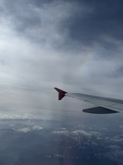 IMG_5502.jpeg IMG_5502.jpeg