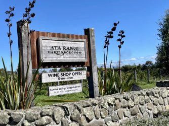 IMG_6674.jpeg IMG_6674.jpeg