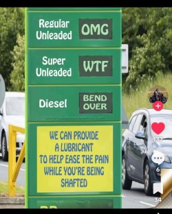 IMG_0703.jpeg IMG_0703.jpeg