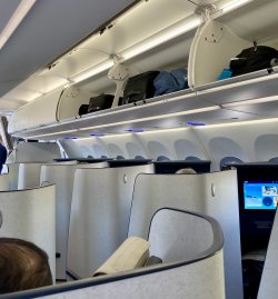 IMG_3017.jpeg IMG_3017.jpeg