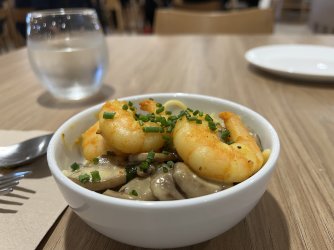 IMG_3502.jpeg IMG_3502.jpeg